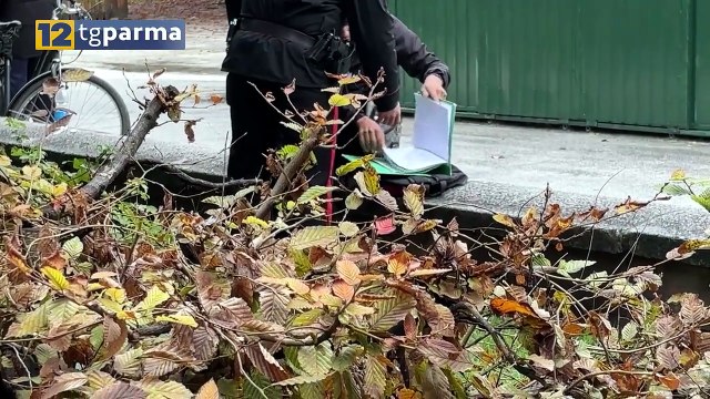 SPACCIO AL PARCO DUCALE, ARRESTATO UN 24ENNE IVORIANO | SPACCIO AL PARCO DUCALE, ARRESTATO UN 24ENNE IVORIANO