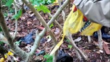 Nova ofensiva policial prende mais cinco em ‘biqueira’ de drogas no Cancelli