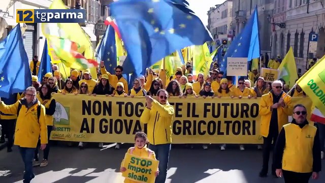 CIBI SINTETICI, COLDIRETTI: SODDISFATTI DOPO L'INCONTRO CON L'EFSA | CIBI SINTETICI, COLDIRETTI: SODDISFATTI DOPO L'INCONTRO CON L'EFSA