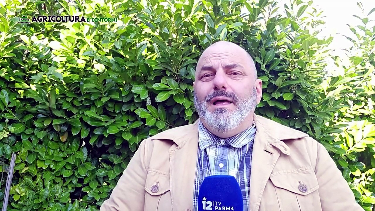 Agricoltura e dintorni 2025 - primavera- 2a puntata del 12-04-25 | Agricoltura e dintorni 2025 - primavera- 2a puntata del 12-04-25