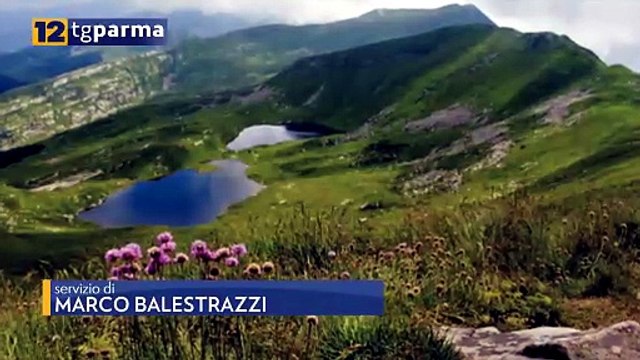 DAL CRINALE AL PO, MOSTRA FOTOGRAFICA A PALAZZO GIORDANI | DAL CRINALE AL PO, MOSTRA FOTOGRAFICA A PALAZZO GIORDANI