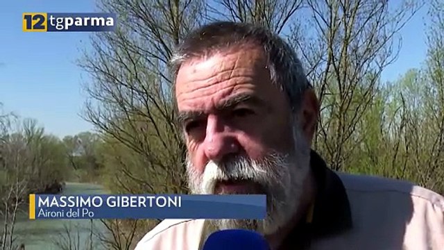 EIA, EROSIONE SPONDA DESTRA TARO: TONNELLATE DI RIFIUTI NELLE ACQUE DEL FIUME | EIA, EROSIONE SPONDA DESTRA TARO: TONNELLATE DI RIFIUTI NELLE ACQUE DEL FIUME