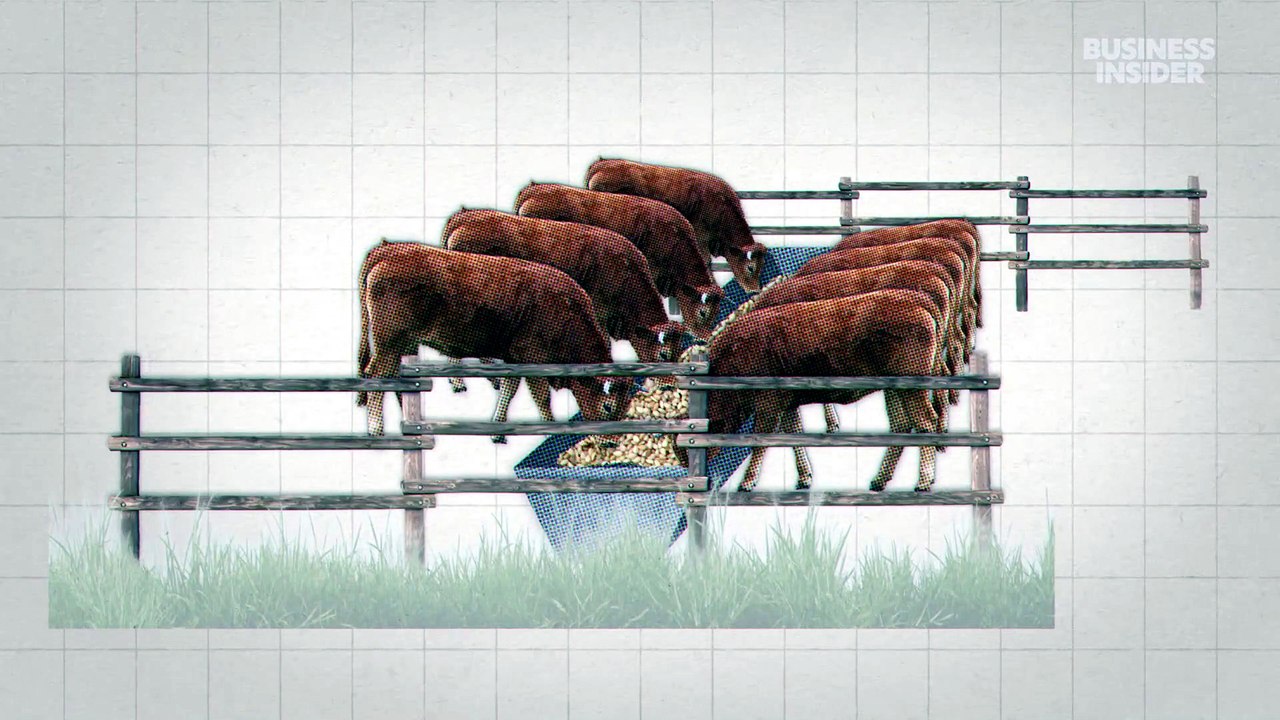 The Real Reason Beef Prices Are So Expensive