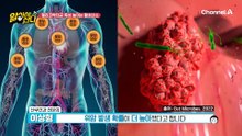 면역력은 암 환자에게 치료를 버티게 하는 힘이다!?