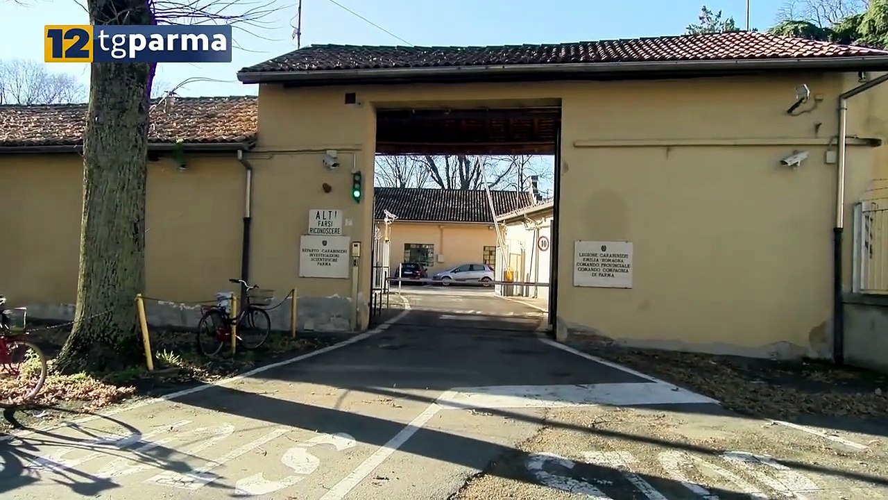 NASCONDEVANO "COCAINA ROSA" NEL REGGISENO: DUE RAGAZZE DENUNCIATE | NASCONDEVANO "COCAINA ROSA" NEL REGGISENO: DUE RAGAZZE DENUNCIATE