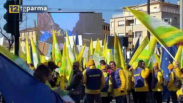 MANIFESTAZIONE COLDIRETTI, TRAFFICO CONGESTIONATO IN MEZZA CITTÀ | MANIFESTAZIONE COLDIRETTI, TRAFFICO CONGESTIONATO IN MEZZA CITTÀ