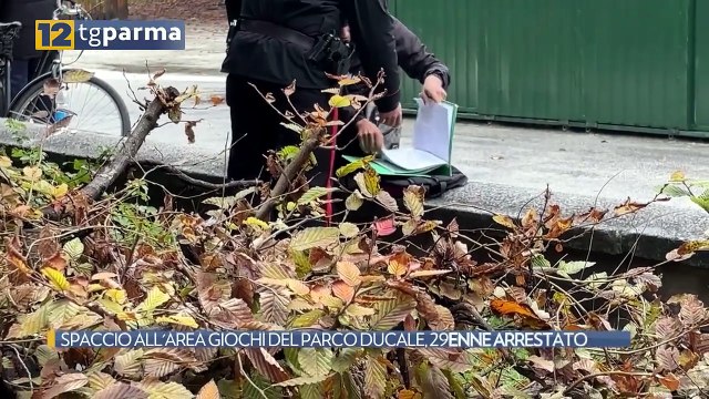 SPACCIO ALL'AREA GIOCHI DEL PARCO DUCALE, 29ENNE ARRESTATO | SPACCIO ALL'AREA GIOCHI DEL PARCO DUCALE, 29ENNE ARRESTATO
