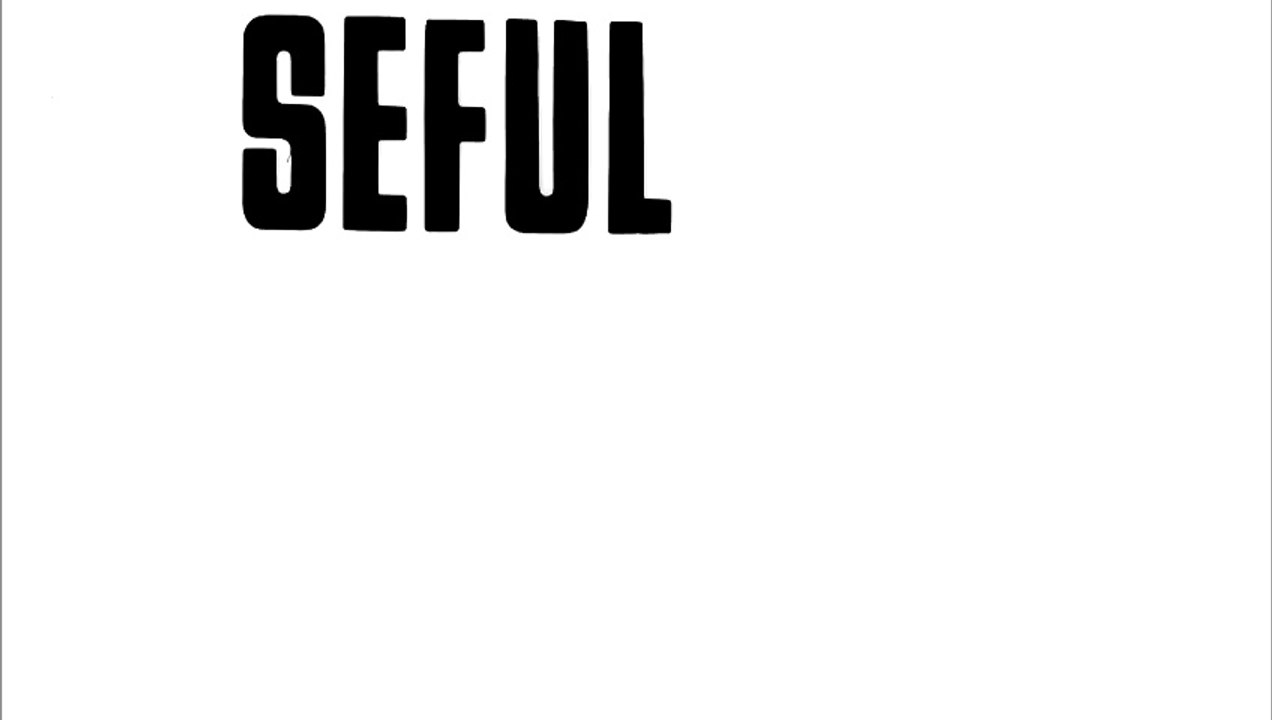 Seful Sectorului Suflete 1967