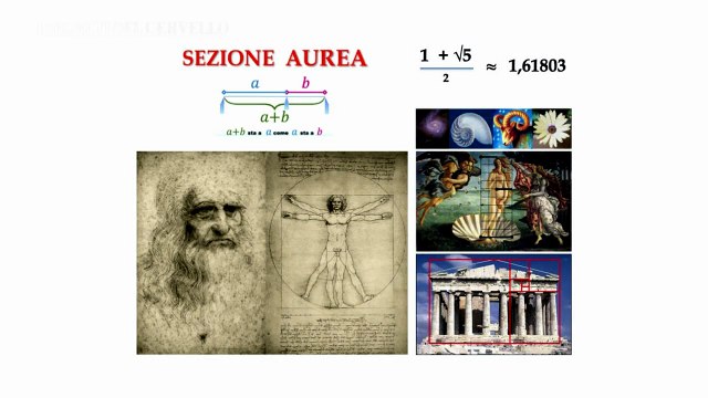 I Segreti del Cervello - 8a puntata del 29-3-25 | I Segreti del Cervello - 8a puntata del 29-3-25