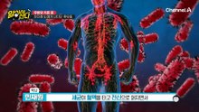 결국 중요한 건 영양소가 '얼마나 안전하게 전달되느냐'의 싸움!