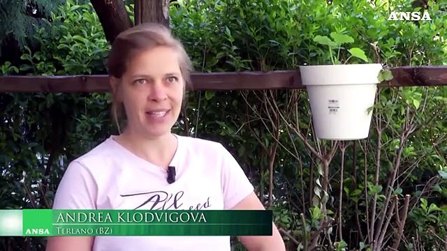 Coronavirus, gli orti crescono sui balconi e nei giardini di casa