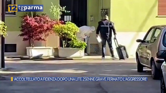 ACCOLTELLATO A FIDENZA DOPO UNA LITE: 25ENNE GRAVE. FERMATO L'AGGRESSORE | ACCOLTELLATO A FIDENZA DOPO UNA LITE: 25ENNE GRAVE. FERMATO L'AGGRESSORE