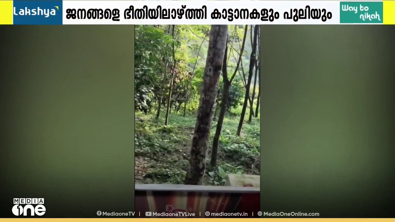 വടശ്ശേരിക്കരയിൽ കാട്ടാനക്കൂട്ടത്തിന് പിന്നാലെ പുലിയും; ജനവാസമേഖലകൾ കടുത്ത ഭീതിയിൽ