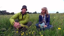 Springwatch S2026E04 1080p