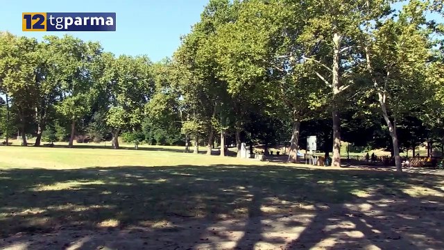 PRIMA ONDATA DI CALDO ESTIVO, A PARMA MASSIMA DI 32,6 GRADI | PRIMA ONDATA DI CALDO ESTIVO, A PARMA MASSIMA DI 32,6 GRADI