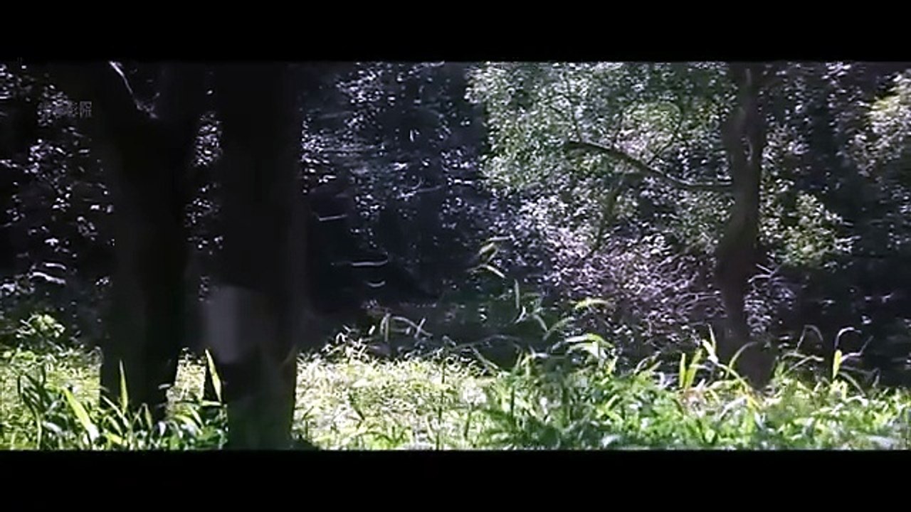 【懸疑動作】連環殺手再現，警局束手無策，無名退休兵王卻一舉勘破奇案！