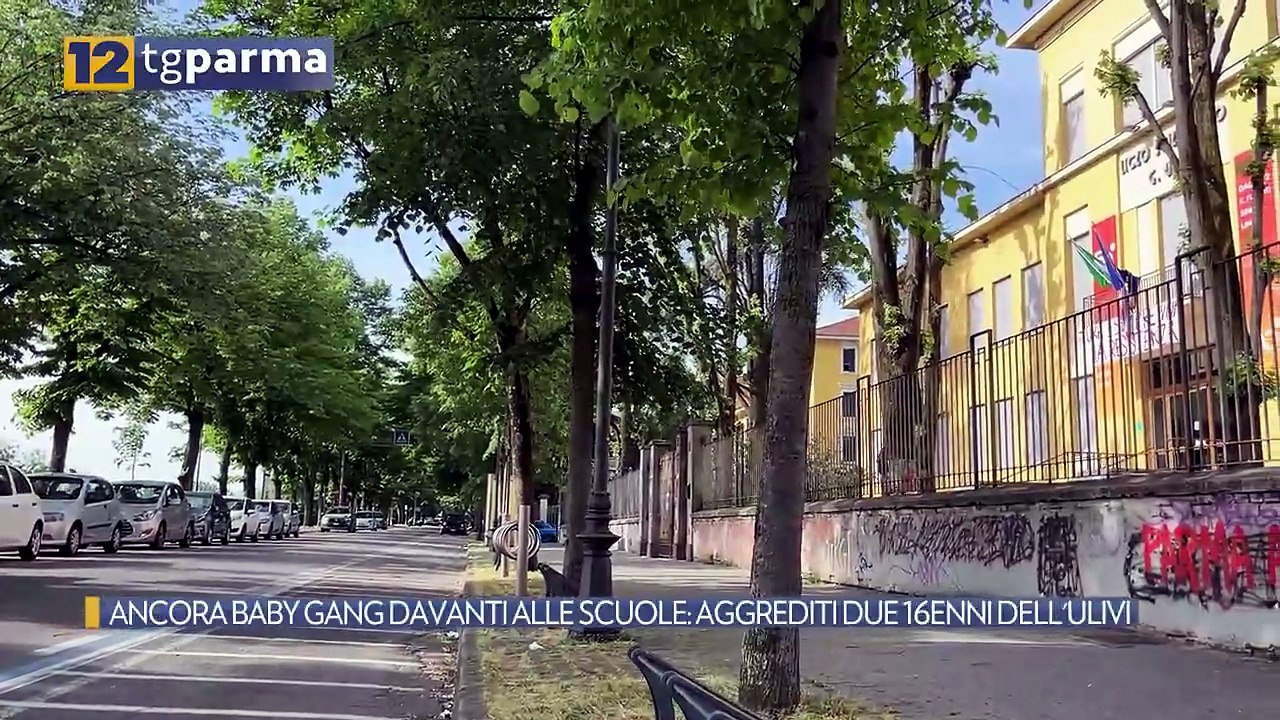 ANCORA BABY GANG DAVANTI ALLE SCUOLE: AGGREDITI DUE 16ENNI DELL'ULIVI | ANCORA BABY GANG DAVANTI ALLE SCUOLE: AGGREDITI DUE 16ENNI DELL'ULIVI
