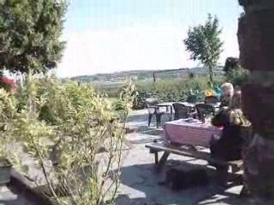 Plein air Wally