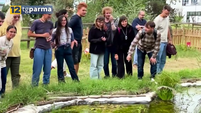 FONDAZIONE CARIPARMA: 36,2 MILIONI DI EURO PER 394 PROGETTI | FONDAZIONE CARIPARMA: 36,2 MILIONI DI EURO PER 394 PROGETTI