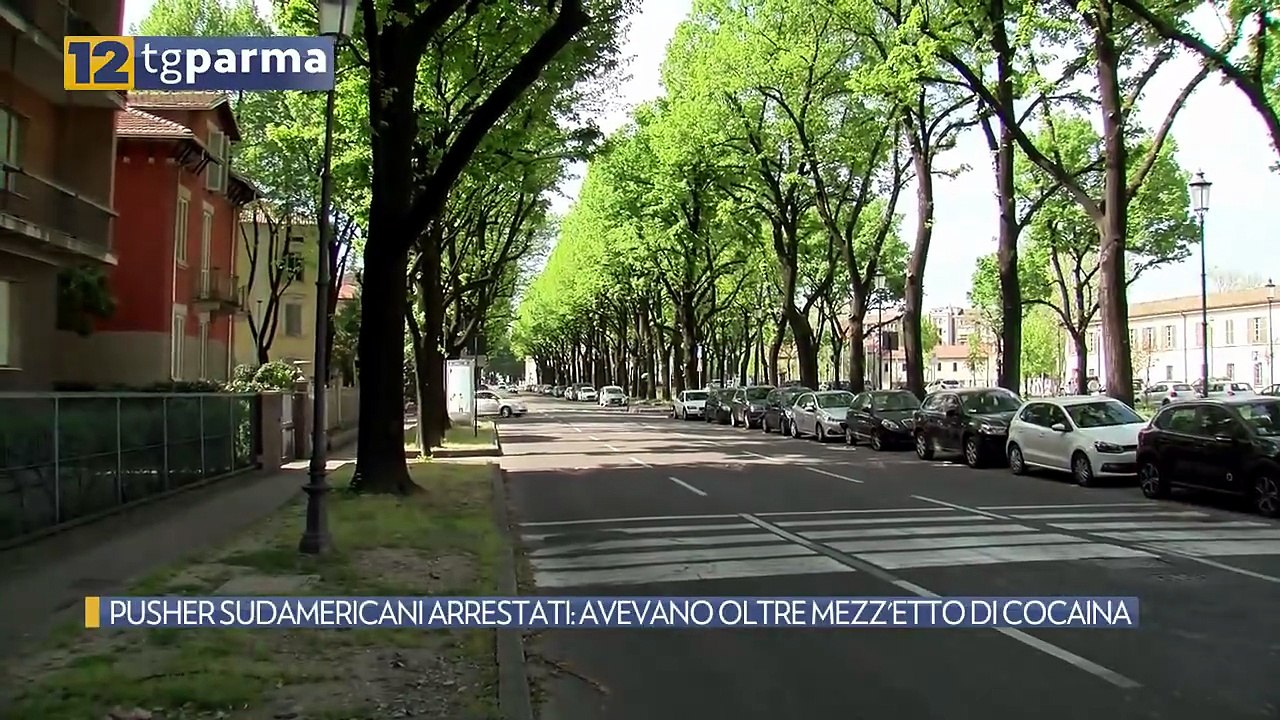 PUSHER SUDAMERICANI ARRESTATI: AVEVANO OLTRE MEZZ'ETTO DI COCAINA | PUSHER SUDAMERICANI ARRESTATI: AVEVANO OLTRE MEZZ'ETTO DI COCAINA