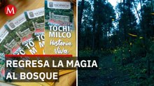 El santuario de la luciérnaga que devuelve la esperanza a Tochimilco