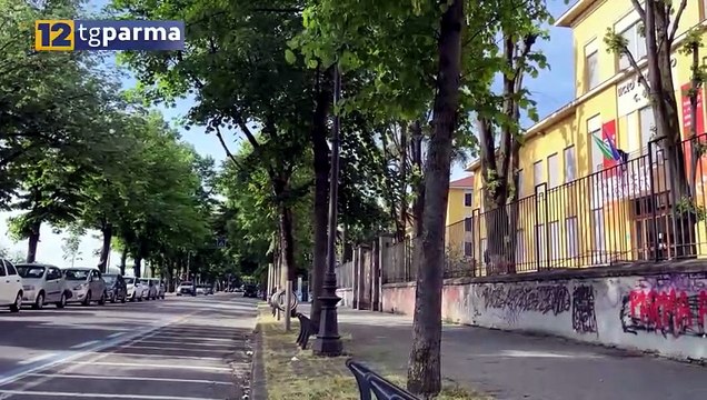 BABY GANG: DENUNCIATI I 5 MINORENNI ENTRATI IN AZIONE DAVANTI ALL'ULIVI | BABY GANG: DENUNCIATI I 5 MINORENNI ENTRATI IN AZIONE DAVANTI ALL'ULIVI