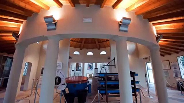 musei del cibo - parmigiano 24 4 2020