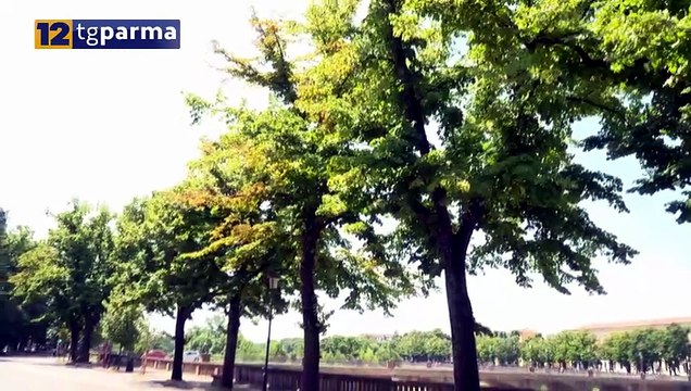 EMERGENZA CALDO: TANTI ACCESSI ALL'OSPEDALE MAGGIORE, ANZIANI A RISCHIO | EMERGENZA CALDO: TANTI ACCESSI ALL'OSPEDALE MAGGIORE, ANZIANI A RISCHIO