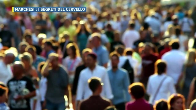 Primo Piano - I Segreti del Cervello appuntamento a settembre... | Primo Piano - I Segreti del Cervello appuntamento a settembre...