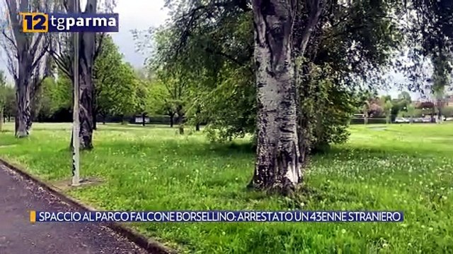 SPACCIO AL PARCO FALCONE BORSELLINO: ARRESTATO UN 43ENNE STRANIERO | SPACCIO AL PARCO FALCONE BORSELLINO: ARRESTATO UN 43ENNE STRANIERO