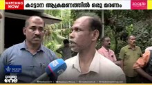 'ആന നിമിശ നേരെ കൊണ്ടാണ് ഇങ്ങോട്ട് പാഞ്ഞെത്തിയത്,അപ്പൊ തന്നെ ആളെ തുമ്പിക്കൈകൊണ്ട് തട്ടി'