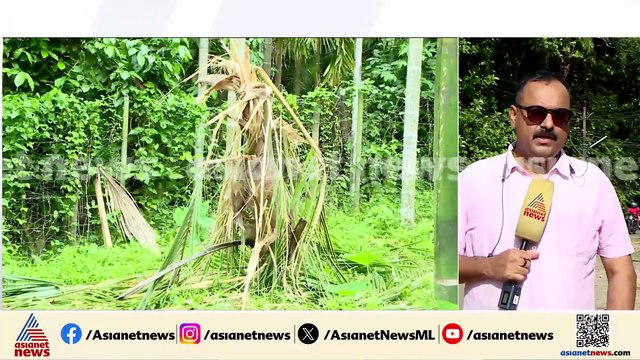 കാട്ടാനക്കലിയിൽ പൊലിഞ്ഞ ജീവൻ; ഹർത്താൽ പ്രഖ്യാപിച്ച് നാട്ടുകാർ
