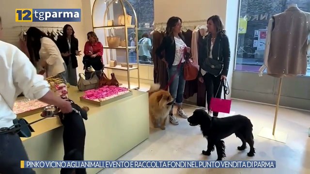 PINKO VICINO AGLI ANIMALI, EVENTO E RACCOLTA FONDI NEL PUNTO VENDITA DI PARMA | PINKO VICINO AGLI ANIMALI, EVENTO E RACCOLTA FONDI NEL PUNTO VENDITA DI PARMA