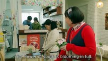Cabbage Your Life Episode 10 English Sub - Korean Drama