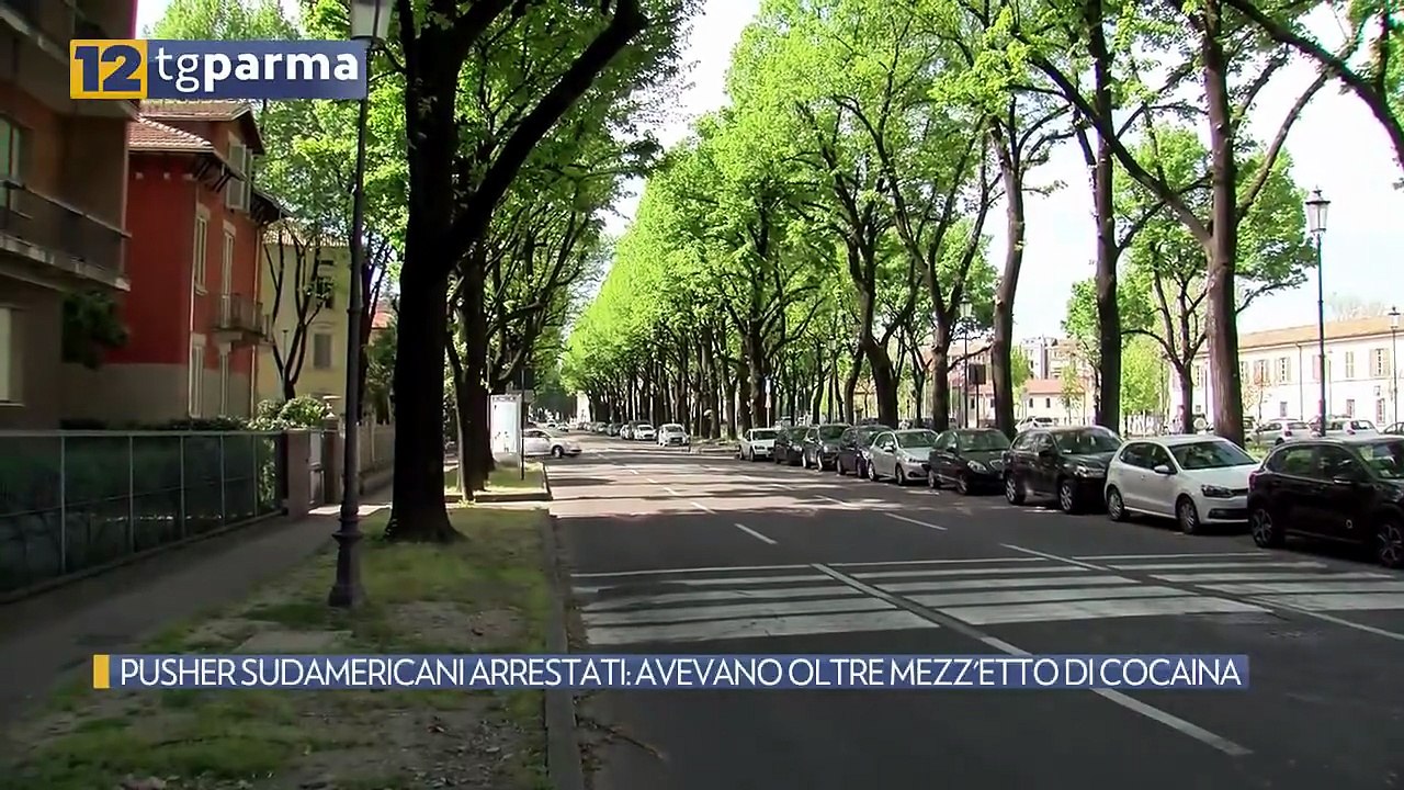 PUSHER SUDAMERICANI ARRESTATI: AVEVANO OLTRE MEZZ'ETTO DI COCAINA | PUSHER SUDAMERICANI ARRESTATI: AVEVANO OLTRE MEZZ'ETTO DI COCAINA
