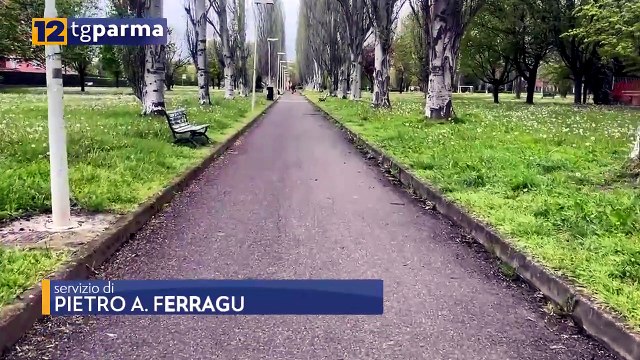 SPACCIO AL PARCO FALCONE BORSELLINO: ARRESTATO UN 43ENNE STRANIERO | SPACCIO AL PARCO FALCONE BORSELLINO: ARRESTATO UN 43ENNE STRANIERO