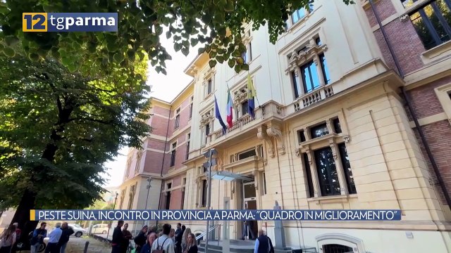 PESTE SUINA, INCONTRO IN PROVINCIA A PARMA: QUADRO IN MIGLIORAMENTO | PESTE SUINA, INCONTRO IN PROVINCIA A PARMA: QUADRO IN MIGLIORAMENTO