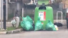 bollodefinitivo