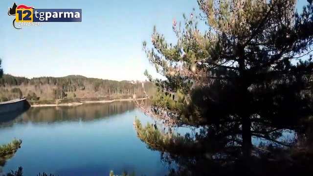 DA OGGI SCATTA IN TUTTA LA REGIONE LA FASE DI ATTENZIONE PER GLI INCENDI BOSCHIVI | DA OGGI SCATTA IN TUTTA LA REGIONE LA FASE DI ATTENZIONE PER GLI INCENDI BOSCHIVI