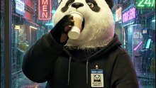 cute panda sitting in a coffee shop