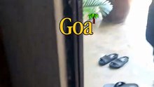 Goa! 🌴🧿