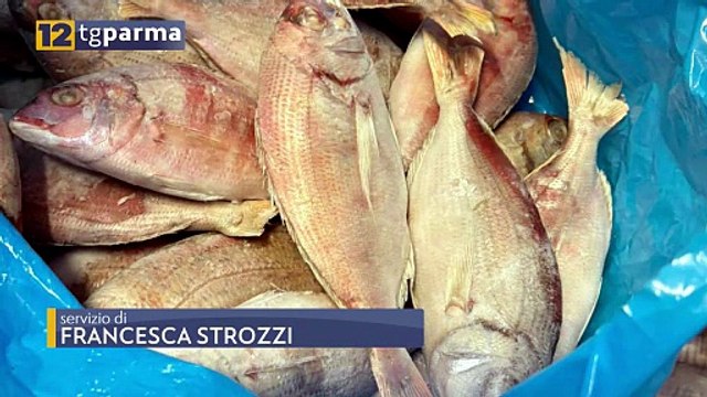 GUARDIA COSTIERA: CONTROLLI NELLE PESCHERIE E MARKET, MULTE E SEQUESTRI | GUARDIA COSTIERA: CONTROLLI NELLE PESCHERIE E MARKET, MULTE E SEQUESTRI