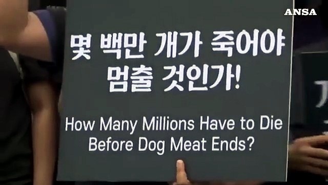 Sud Corea, Kim Basinger in piazza per salvare i cani