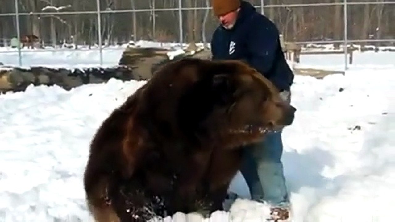 orso