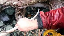 SurfingFishingforDinneronRemoteAlaskaIsland_20260530145237