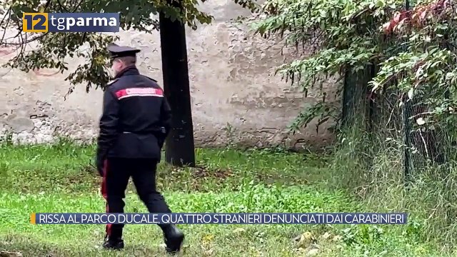 RISSA AL PARCO DUCALE, QUATTRO STRANIERI DENUNCIATI DAI CARABINIERI | RISSA AL PARCO DUCALE, QUATTRO STRANIERI DENUNCIATI DAI CARABINIERI