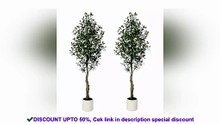 2pcs Faux Olive Tree Artificia Plant Tree with - Simple But Practical | Smart Choice | Smart Choice
