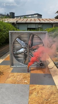 Mingletec high airflow warehouse farming industrial exhaust fan#mingletec #powerful #industrialfan #exhaustfan #ventilation #factory