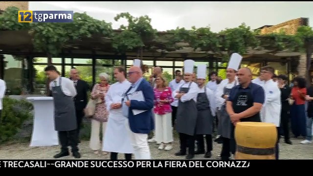 TG Parma Edizione del 29-07-2025 ore 12:45 | TG Parma Edizione del 29-07-2025 ore 12:45
