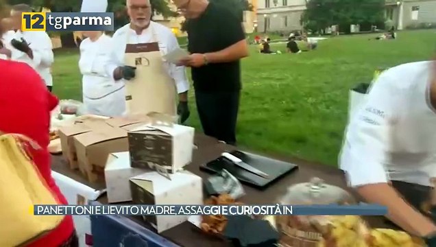 PANETTONI E LIEVITO MADRE, ASSAGGI E CURIOSITÀ IN PILOTTA | PANETTONI E LIEVITO MADRE, ASSAGGI E CURIOSITÀ IN PILOTTA